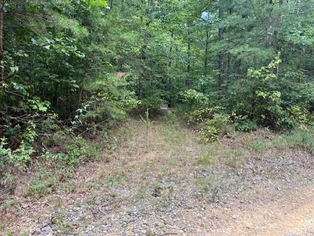 Graysville, Tennessee, 37338, United States, ,Residential,For Sale,1943907