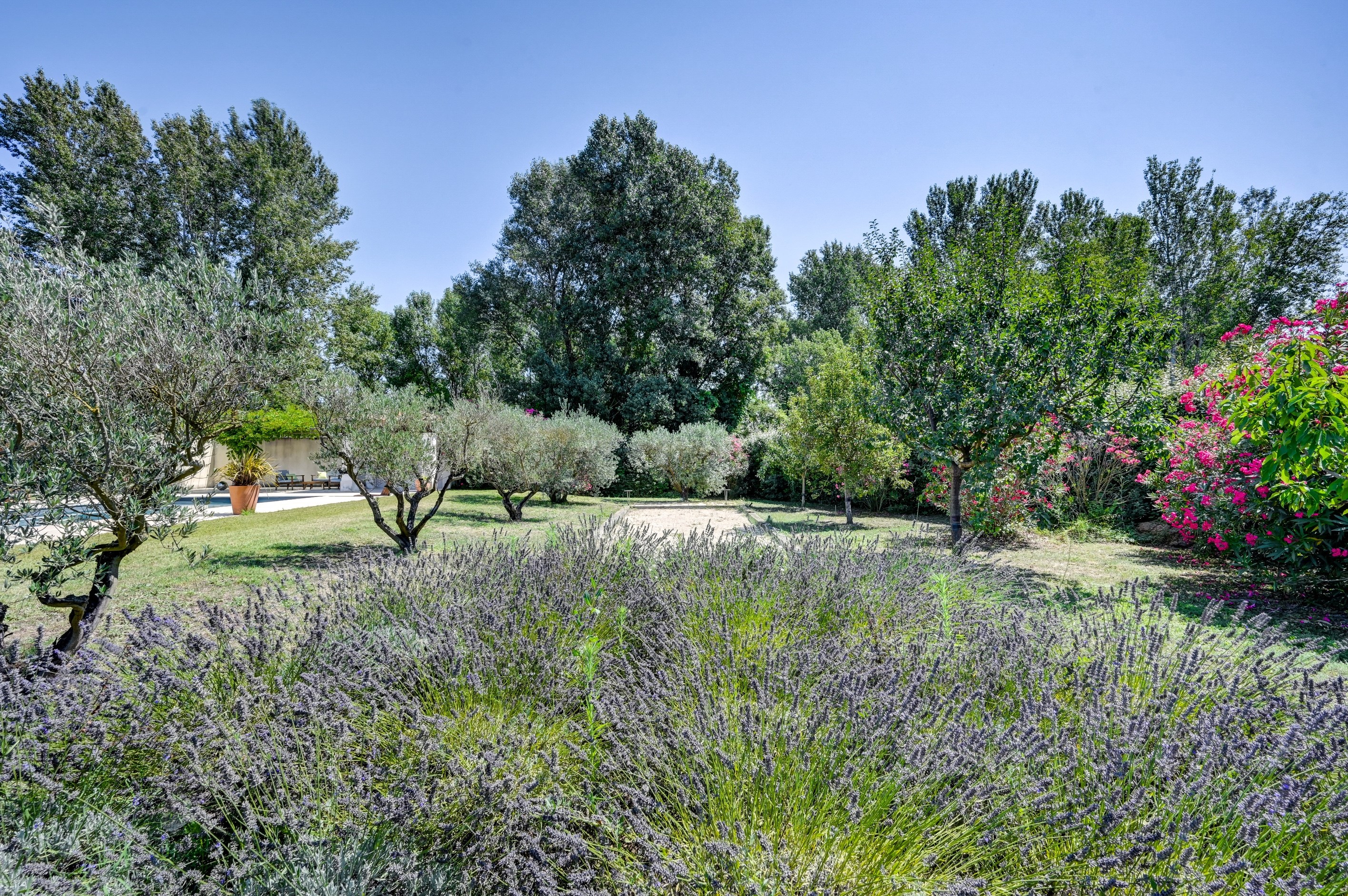  Beautiful property to acquire in Saint Rémy de Provence, close to the village c… - 物件實景