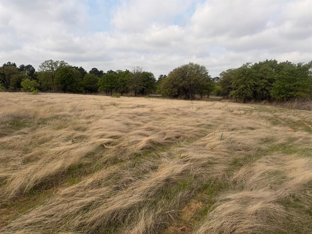 Alvord, Texas, 76225, United States, 2 Bedrooms Bedrooms, ,2 BathroomsBathrooms,Residential,For Sale,2033233