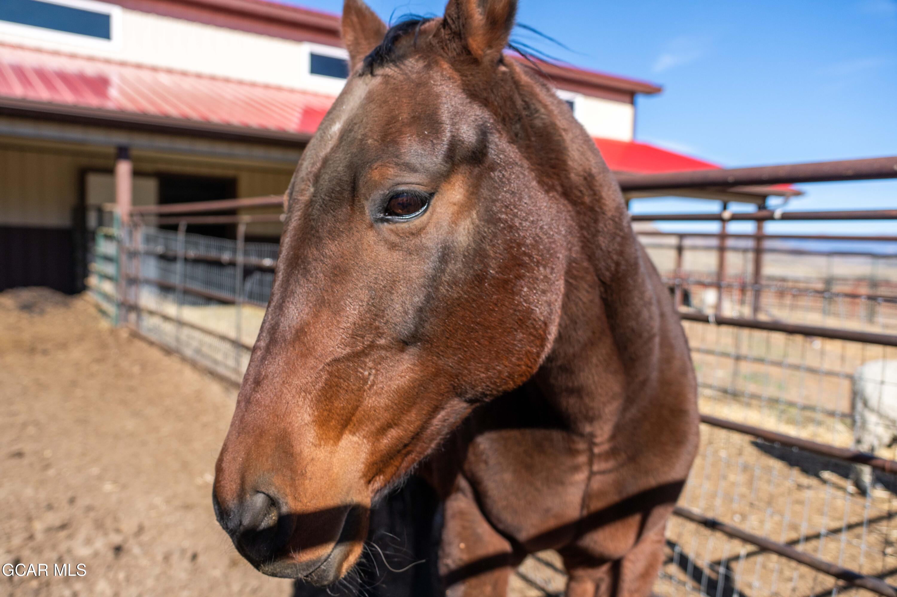 Hot Sulphur Springs, Colorado, 80451, United States, 6 Bedrooms Bedrooms, ,6 BathroomsBathrooms,Residential,For Sale,1999593