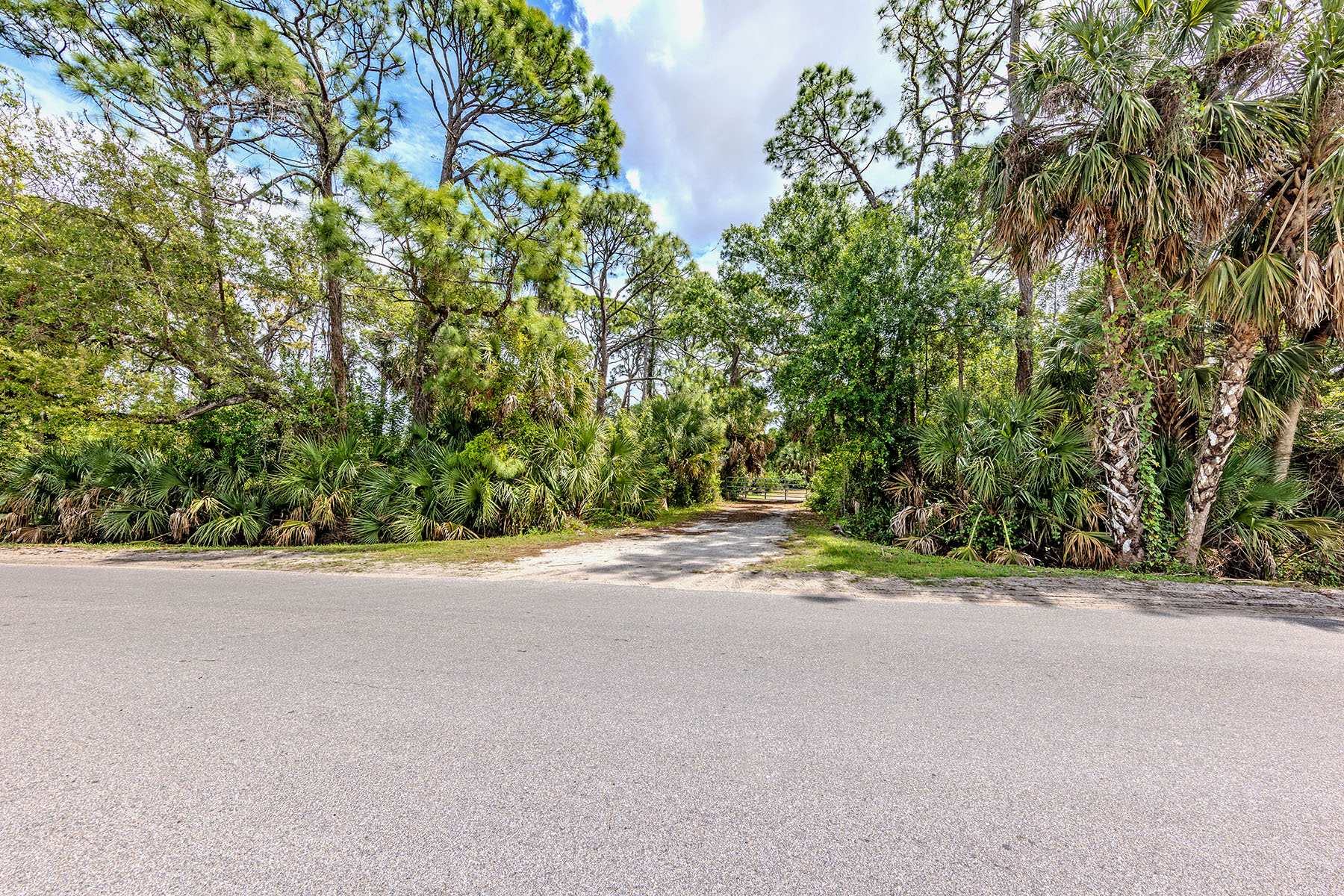  VENICE FARMS - 物件實景