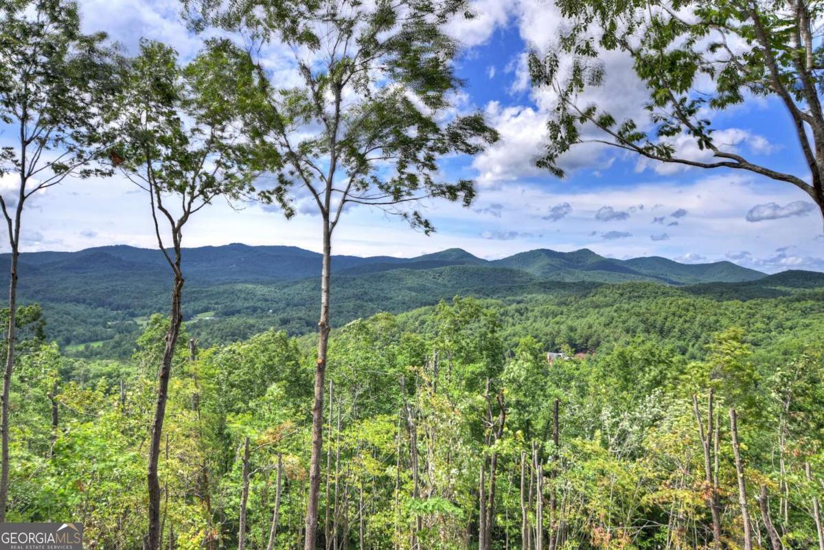 Mineral Bluff, Georgia, 30559, United States, 4 Bedrooms Bedrooms, ,4 BathroomsBathrooms,Residential,For Sale,1876887
