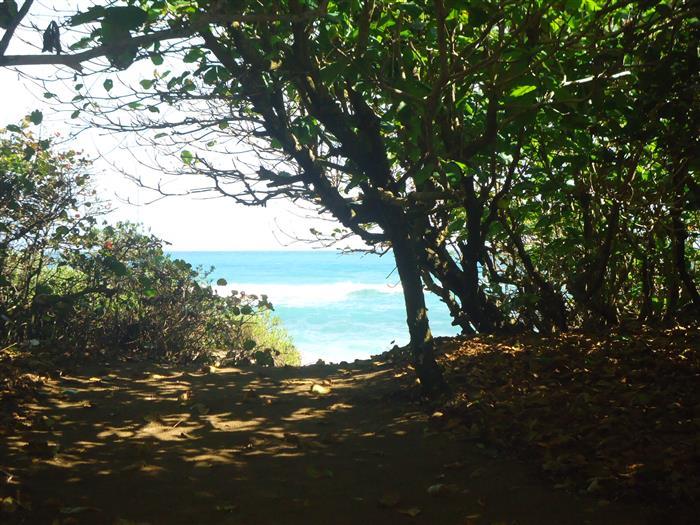 Cabarete, DO, ,Land,For Sale,927965
