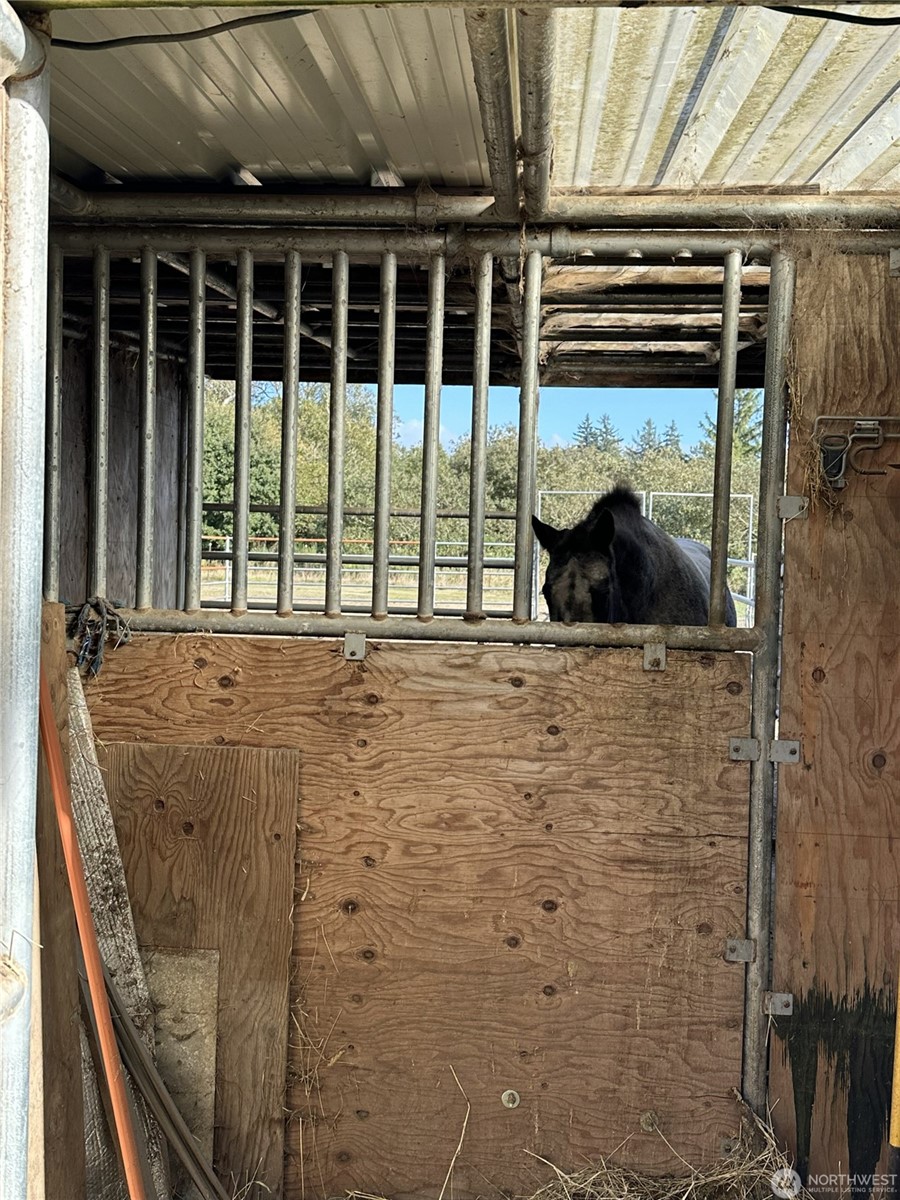 Oysterville, Washington, 98641, United States, 2 Bedrooms Bedrooms, ,1 BathroomBathrooms,Residential,For Sale,1976042