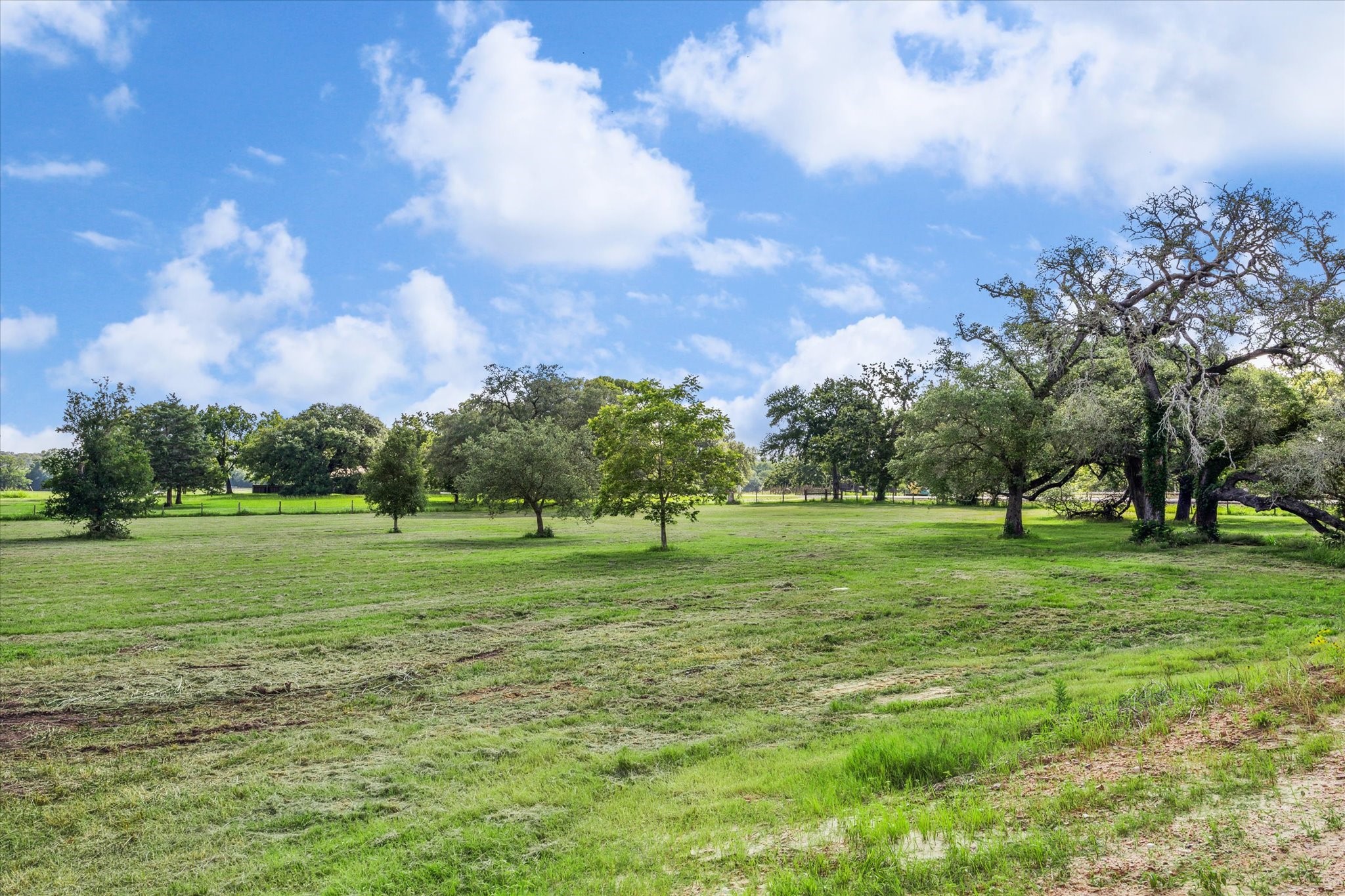  1286 S State Hwy 237 - 物件實景