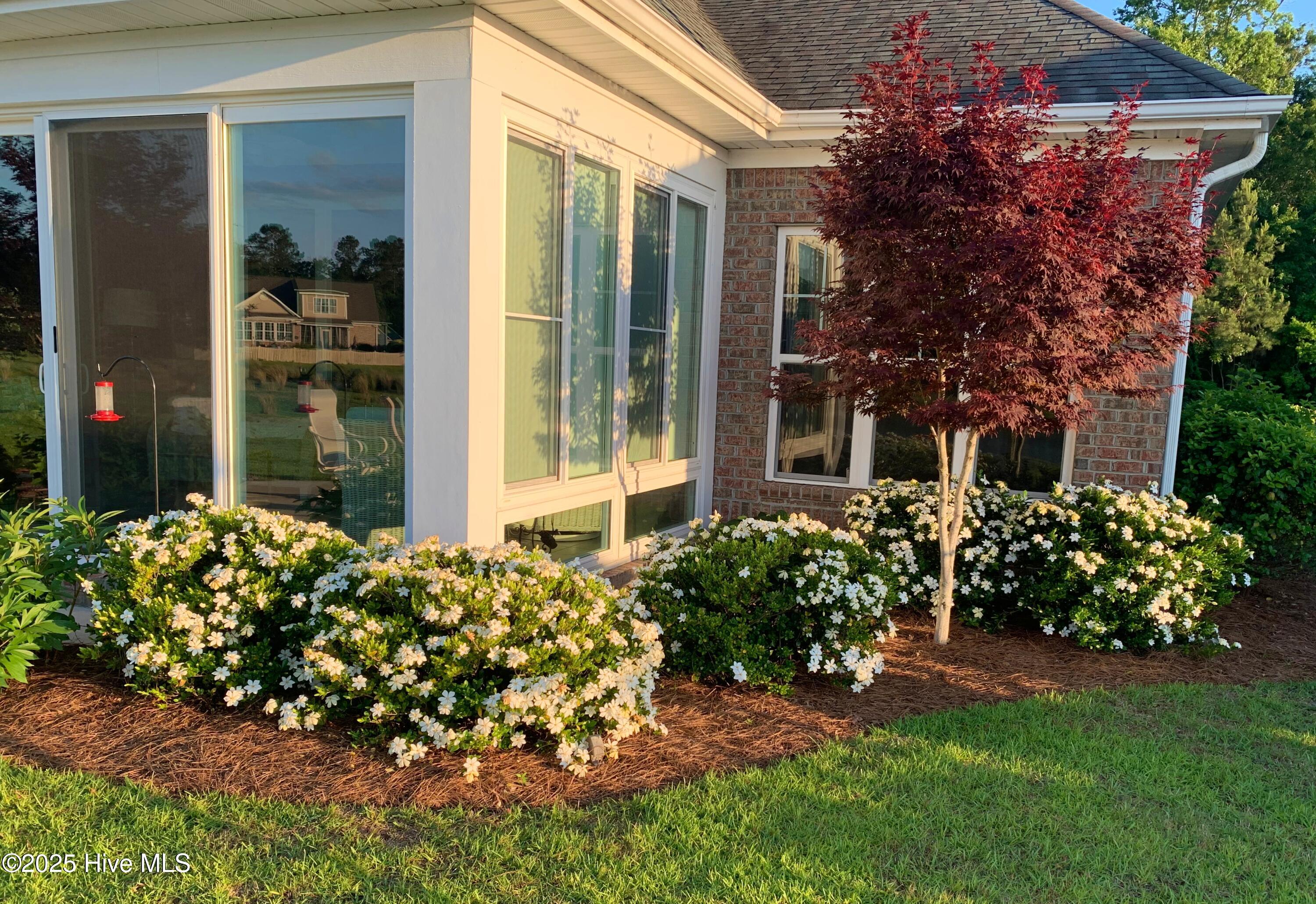 Leland, North Carolina, 28451, United States, 3 Bedrooms Bedrooms, ,3 BathroomsBathrooms,Residential,For Sale,1962927