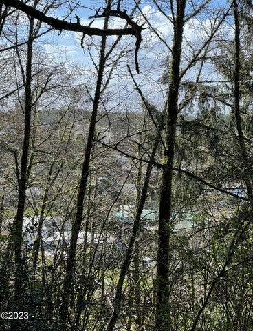 Pacific City, Oregon, 97135, United States, ,Land,For Sale,1977303