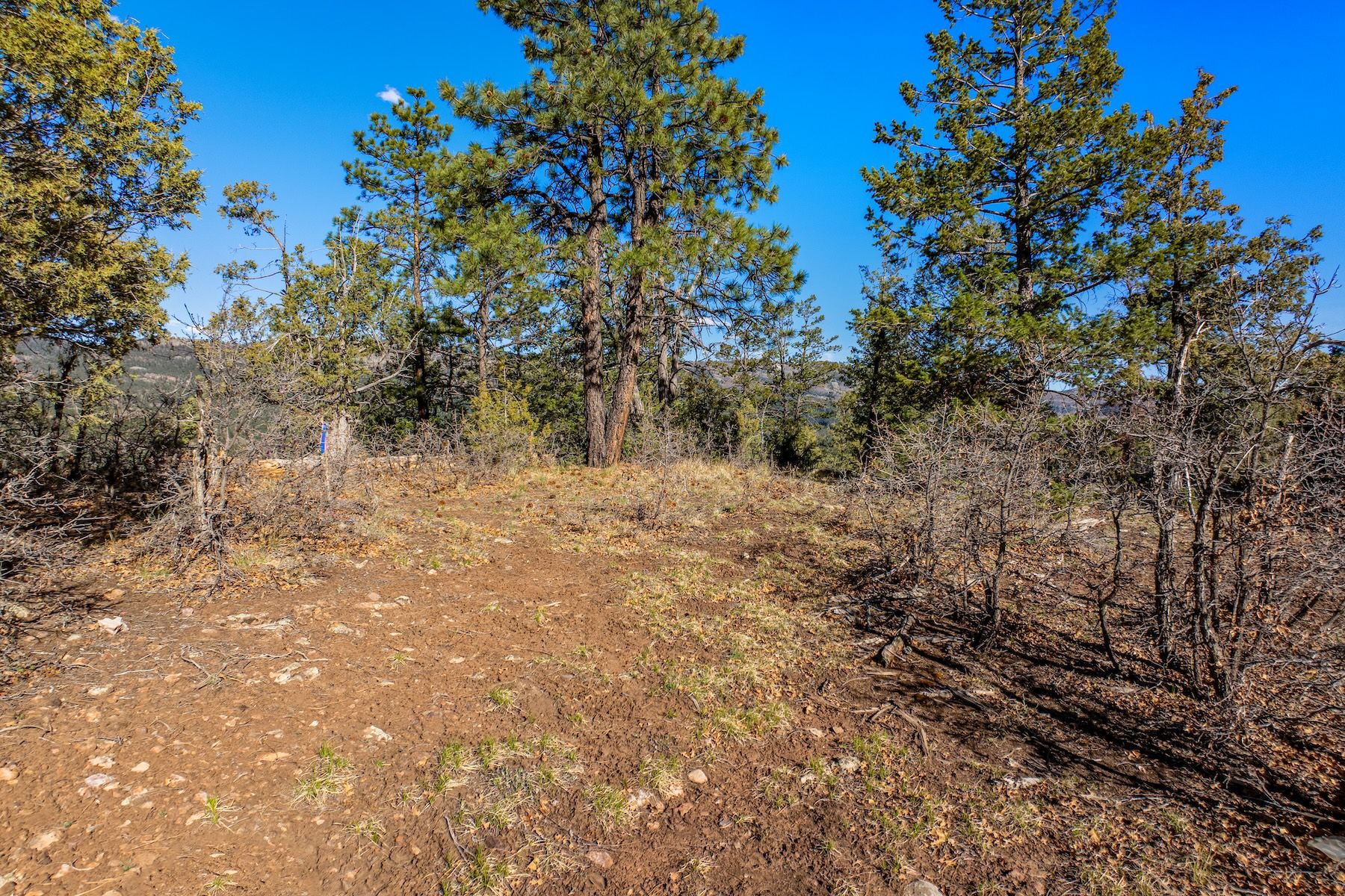  557 Glacier Cliff Drive, Durango, CO 81301 - 物件實景