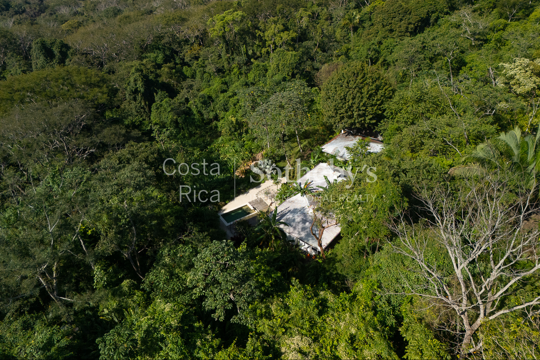  Unique Oceanview Jungle Villa Collection - 物件實景