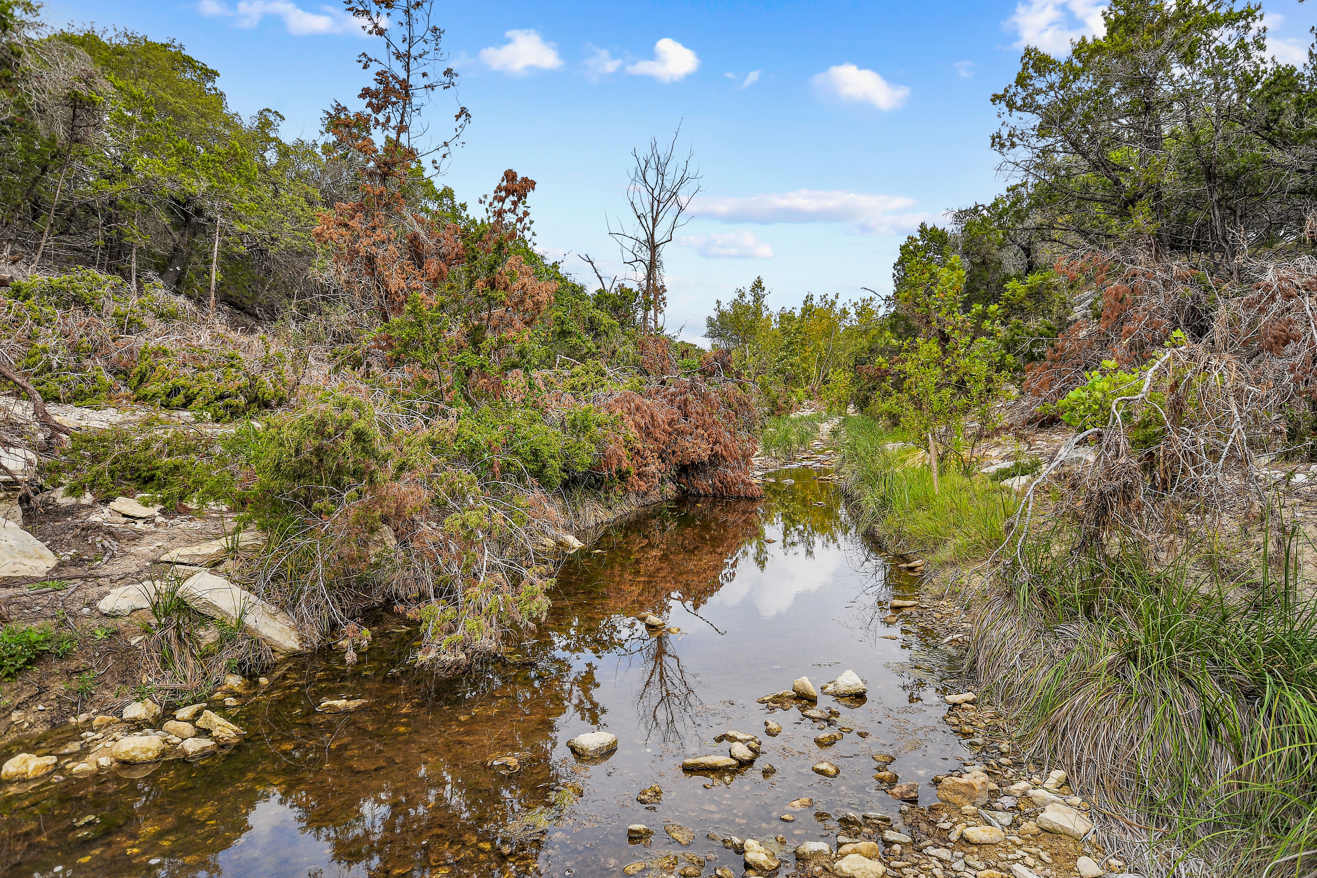  TBD Hwy 46 / Madrona Ranch Road, Pipe Creek, TX 78063 - 物件實景
