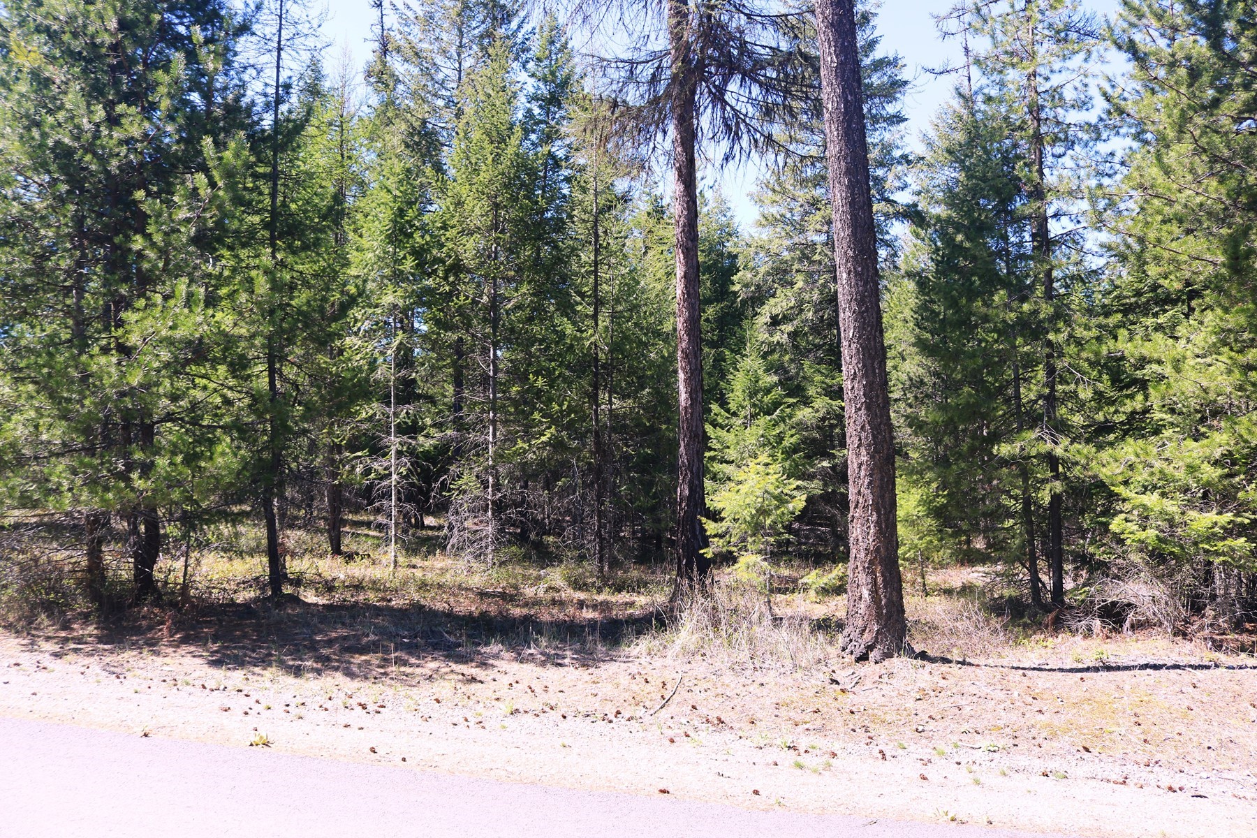  Community Waterfront Parcel - 物件實景