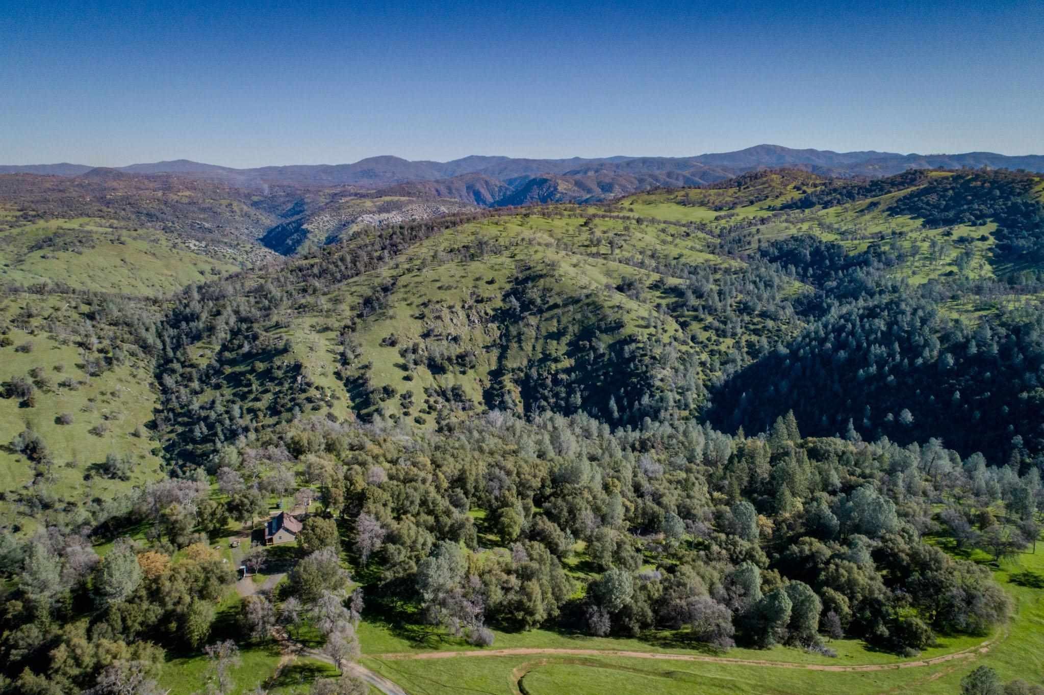 16551 Wards Ferry Rd, Big Oak Flat, California, 95305, United States, ,Land,For Sale,16551 Wards Ferry Rd,1554958