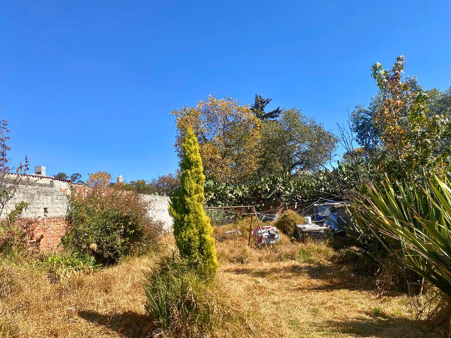 GONZALEZ Y PICHARDO, Toluca, Estado de méxico, 50120, Mexico, 1 Bedroom Bedrooms, ,Residential,For Sale,GONZALEZ Y PICHARDO,1521607