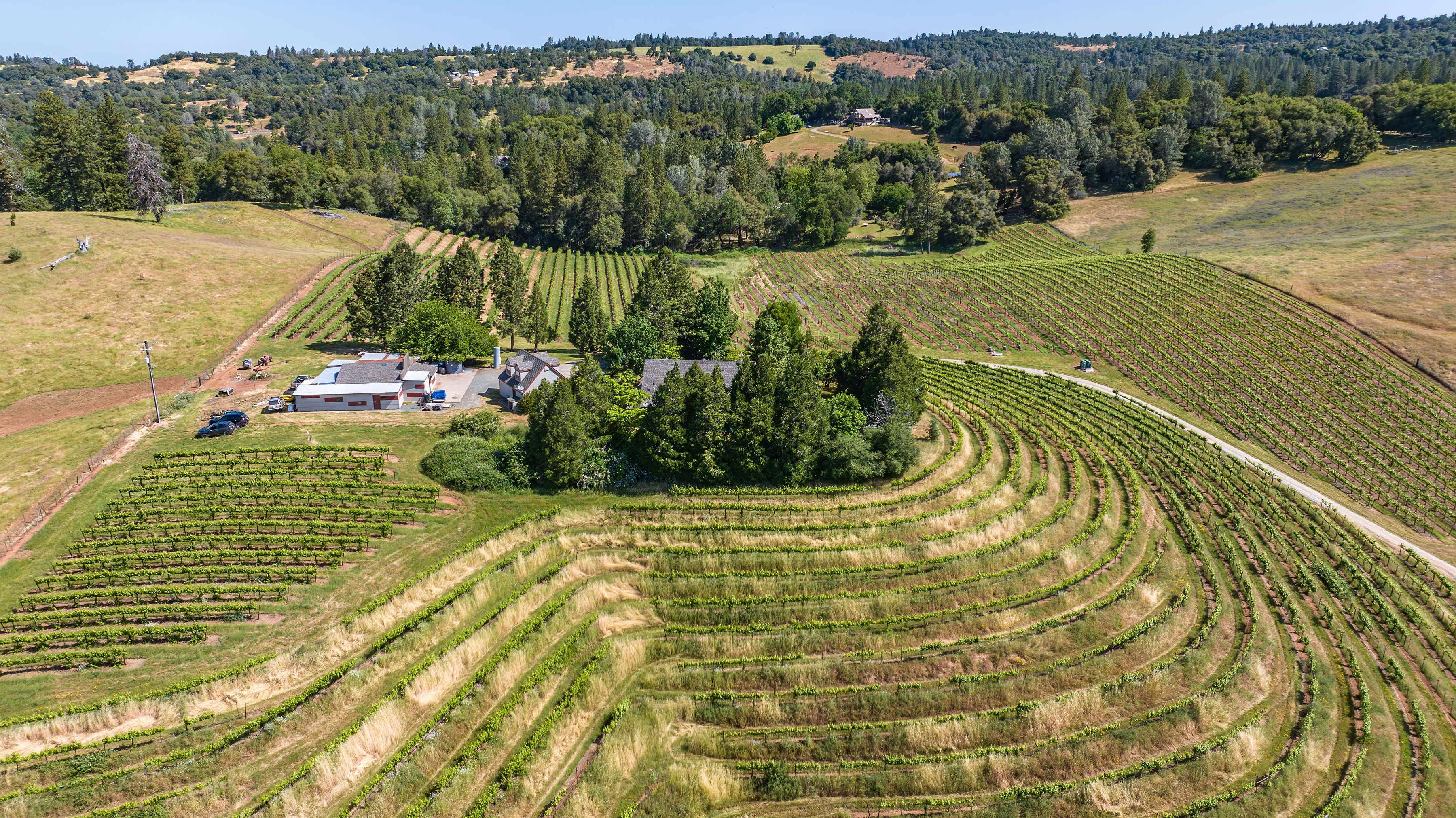  22 Acres • Panoramic Views • Unmatched Privacy • Idyllic Ranch Estate - 物件實景