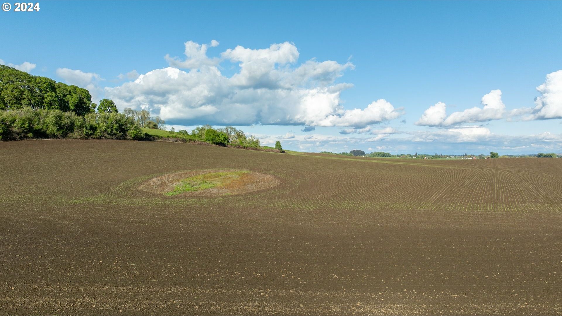 0 SW YOUNGBERG HILL RD, McMinnville, Oregon, 97128, United States, ,Land,For Sale,0 SW YOUNGBERG HILL RD,1523694