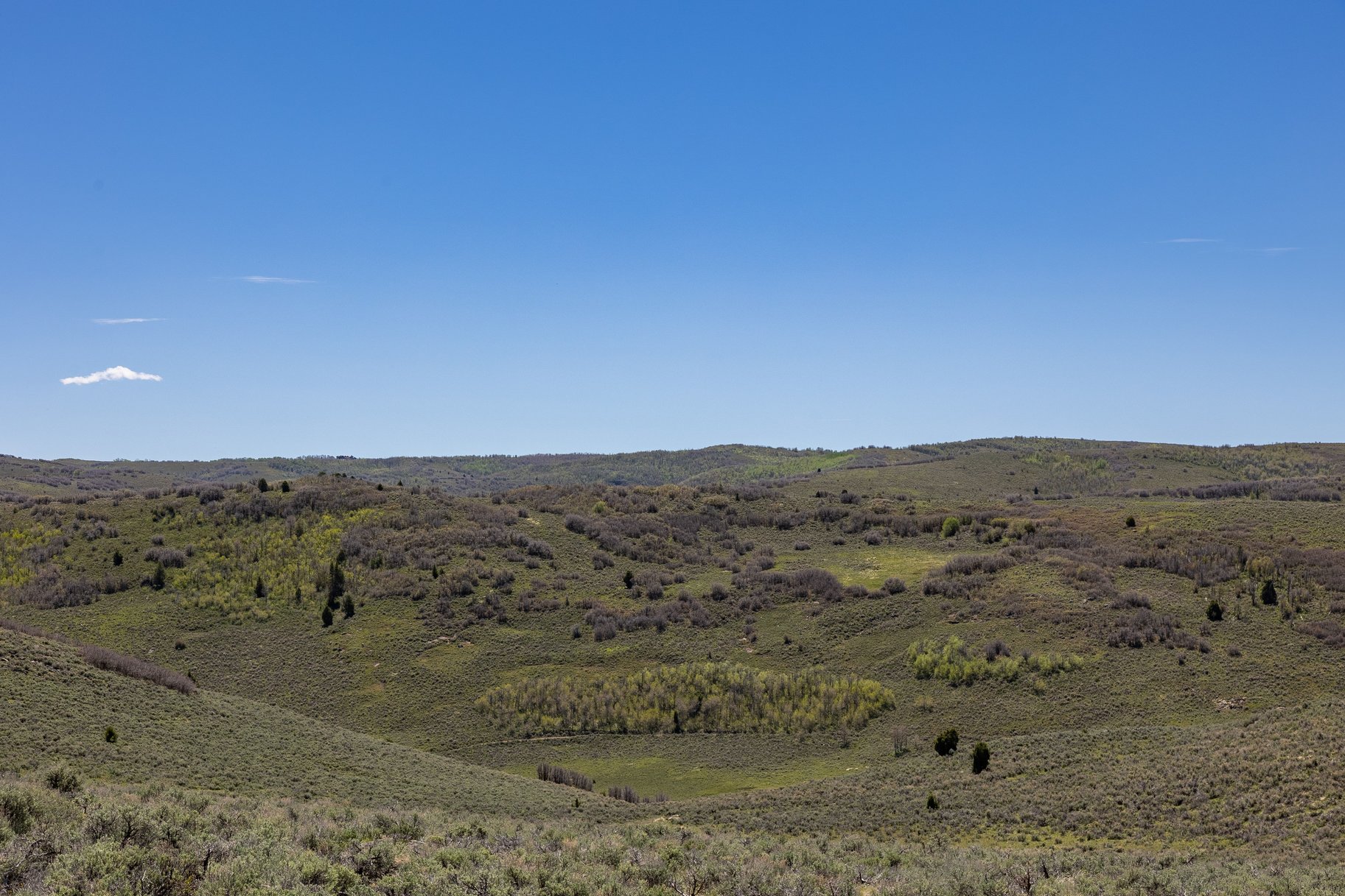  7+ Acres at Victory Ranch - 物件實景