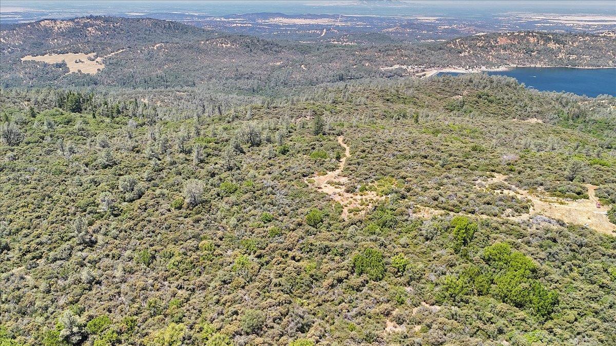 Oregon House, California, 95962, United States, ,Land,For Sale,1975767