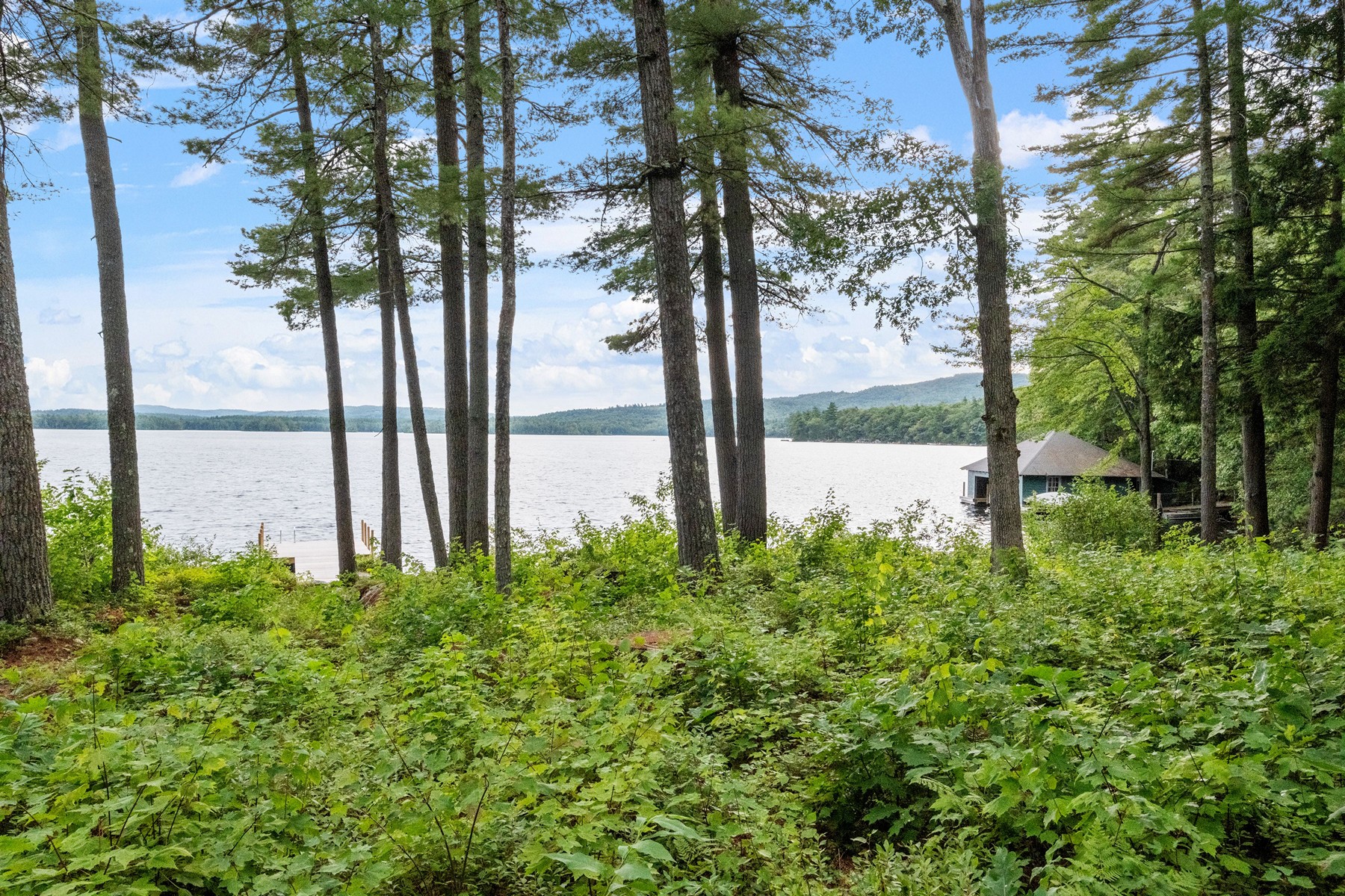  294 Pinehurst Road - 物件實景