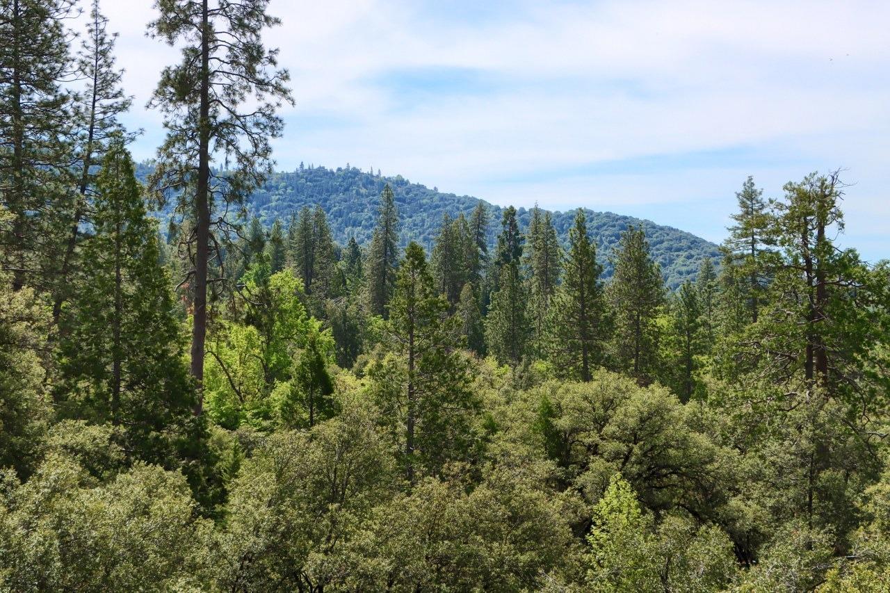 Mariposa, California, 95338, United States, 3 Bedrooms Bedrooms, ,3 BathroomsBathrooms,Residential,For Sale,1988847