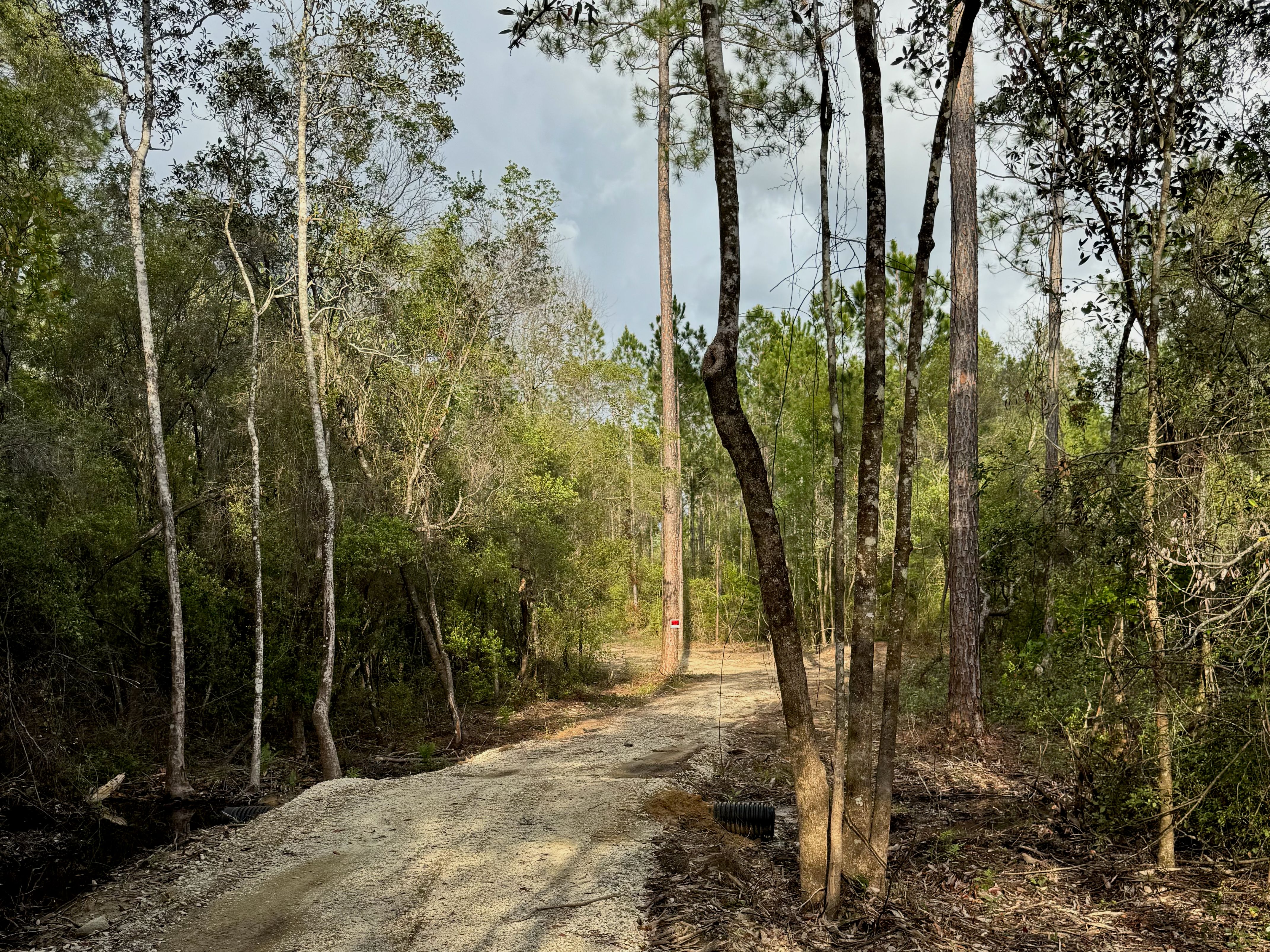  Creekside Estate Homesite  14.88 Acres - 物件實景