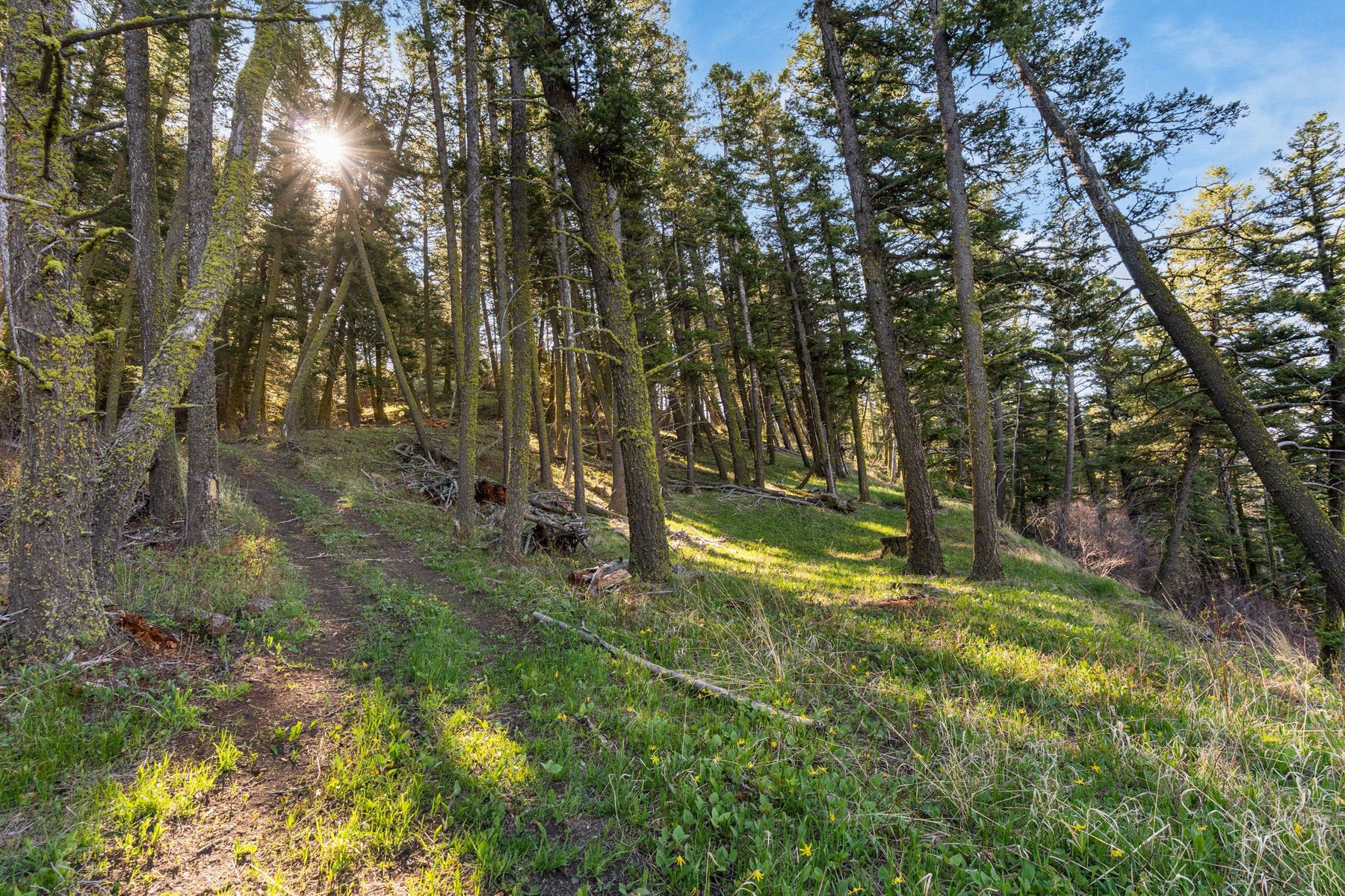  271 Sled Run Rd - 物件實景