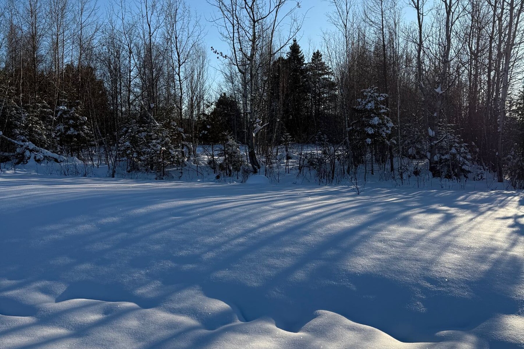  Potton, Eastern Townships - 物件實景