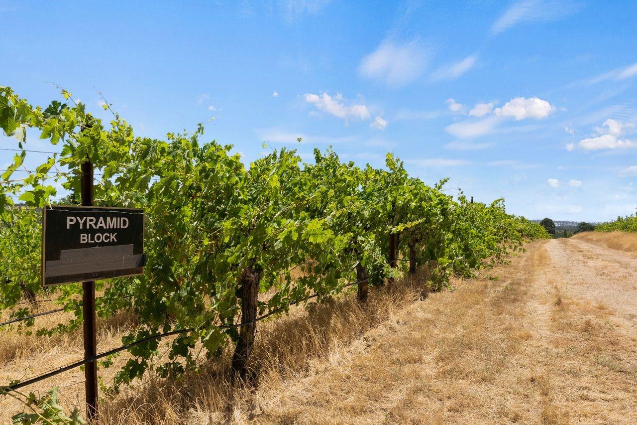 21226 Dickson Road, Plymouth, California, 95669, United States, ,Land,For Sale,21226 Dickson Road,1672447