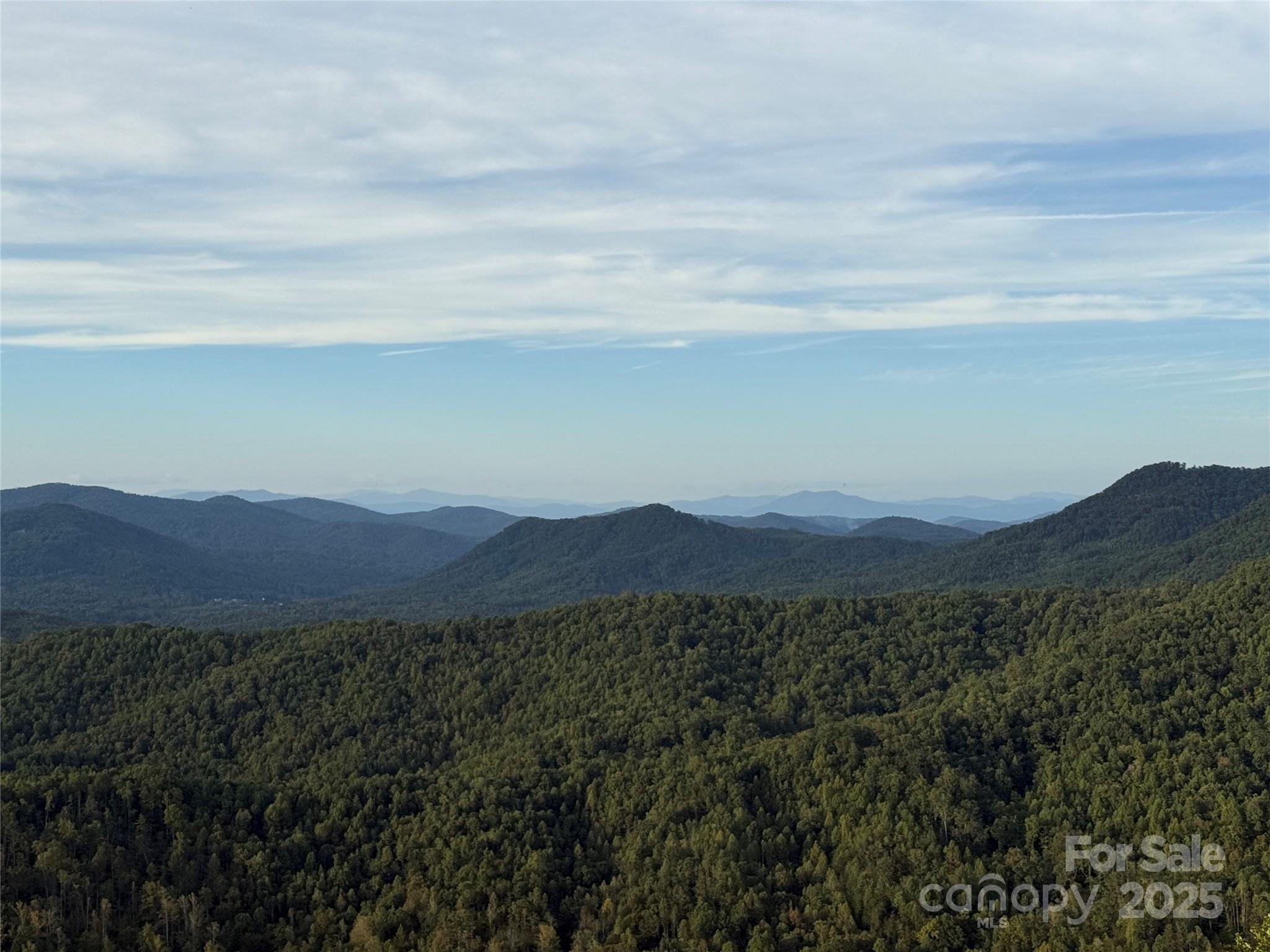Union Mills, North Carolina, 28167, United States, ,Land,For Sale,1976406