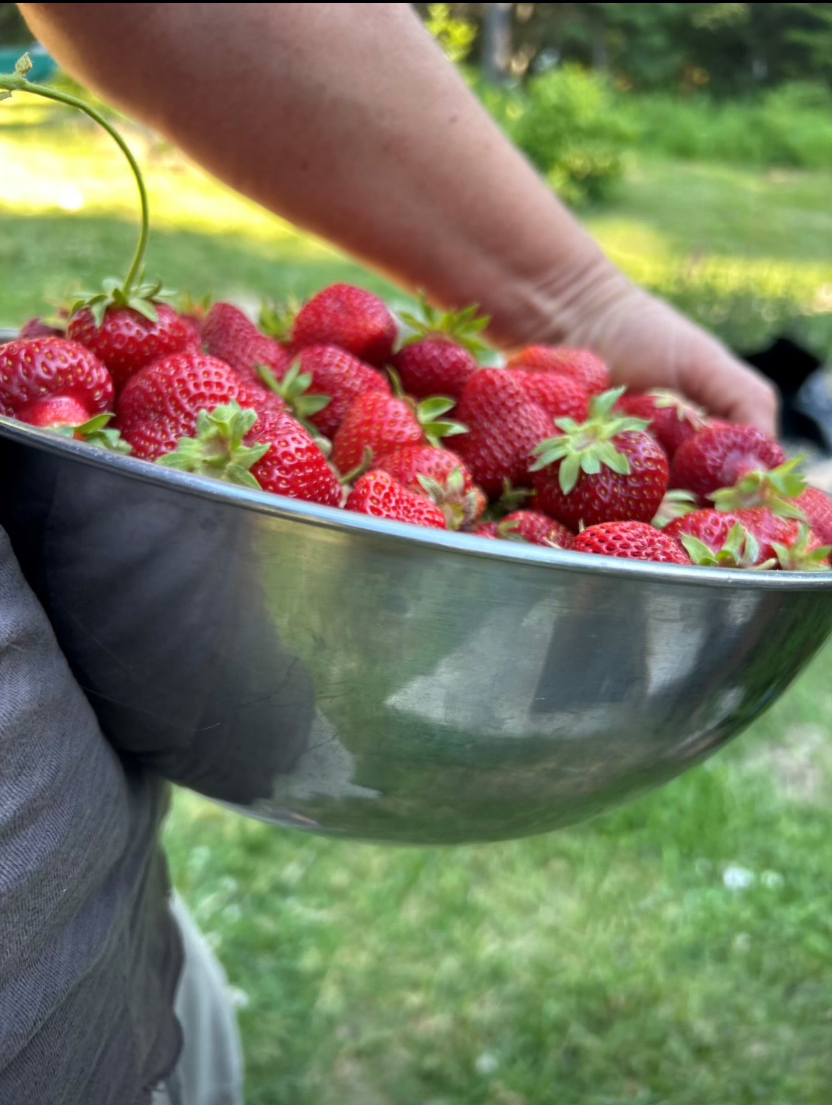 Sandpoint, Idaho, 83864, United States, 2 Bedrooms Bedrooms, ,2 BathroomsBathrooms,Residential,For Sale,2006058