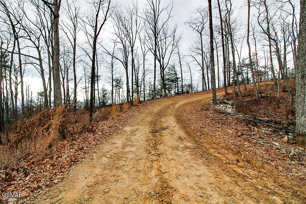 Sevierville, Tennessee, 37876, United States, ,Land,For Sale,2008093