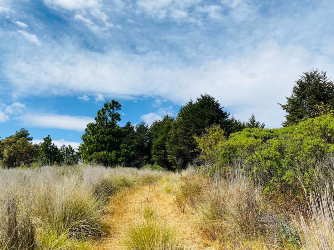 Salazar, Lerma, Estado de México, 52045, Mexico, 1 Bedroom Bedrooms, ,Residential,For Sale,Salazar,1443192