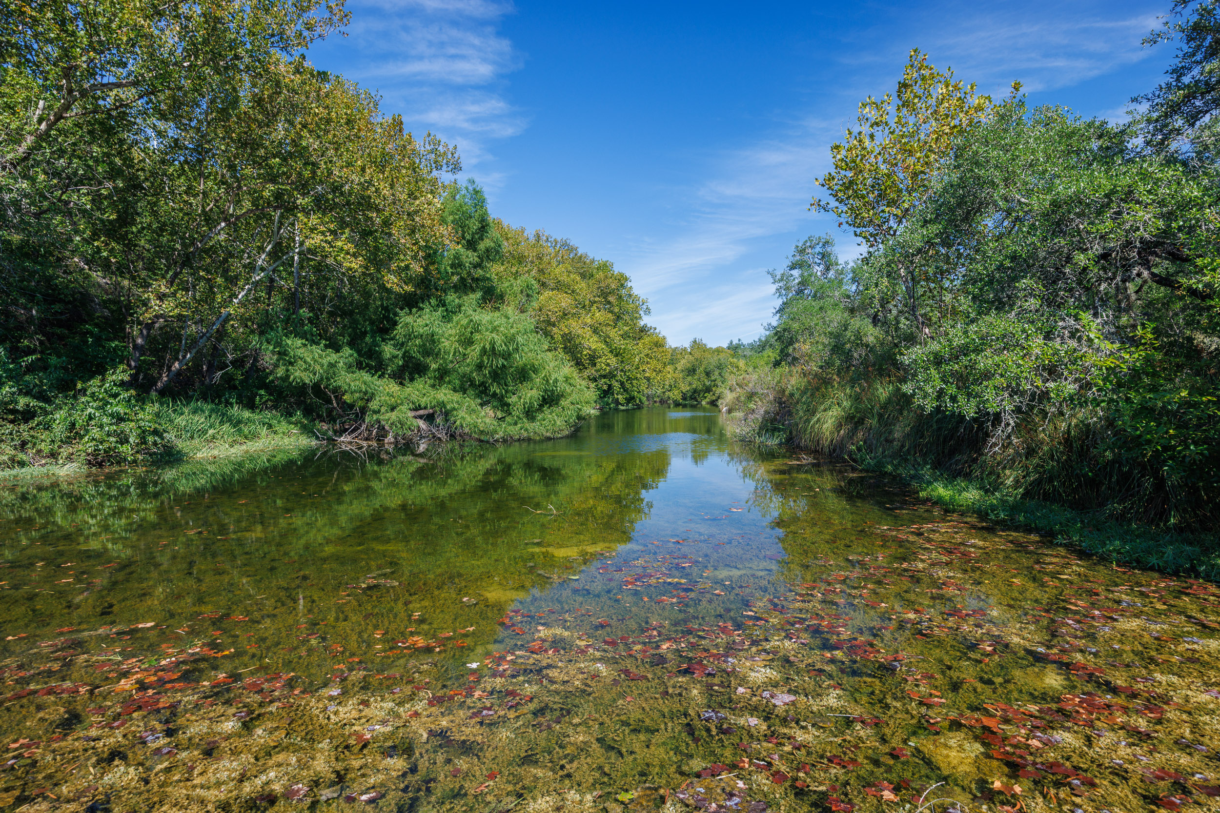 Wimberley, Texas, 78676, United States, 3 Bedrooms Bedrooms, ,3 BathroomsBathrooms,Residential,For Sale,1977776