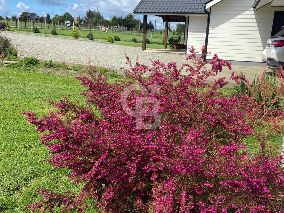 Puerto Varas, Chile, 4 Bedrooms Bedrooms, ,3 BathroomsBathrooms,Residential,For Sale,1968021