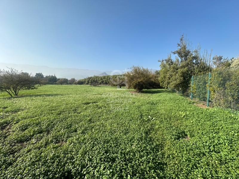 Colina, Chile, ,Land,For Sale,1907153