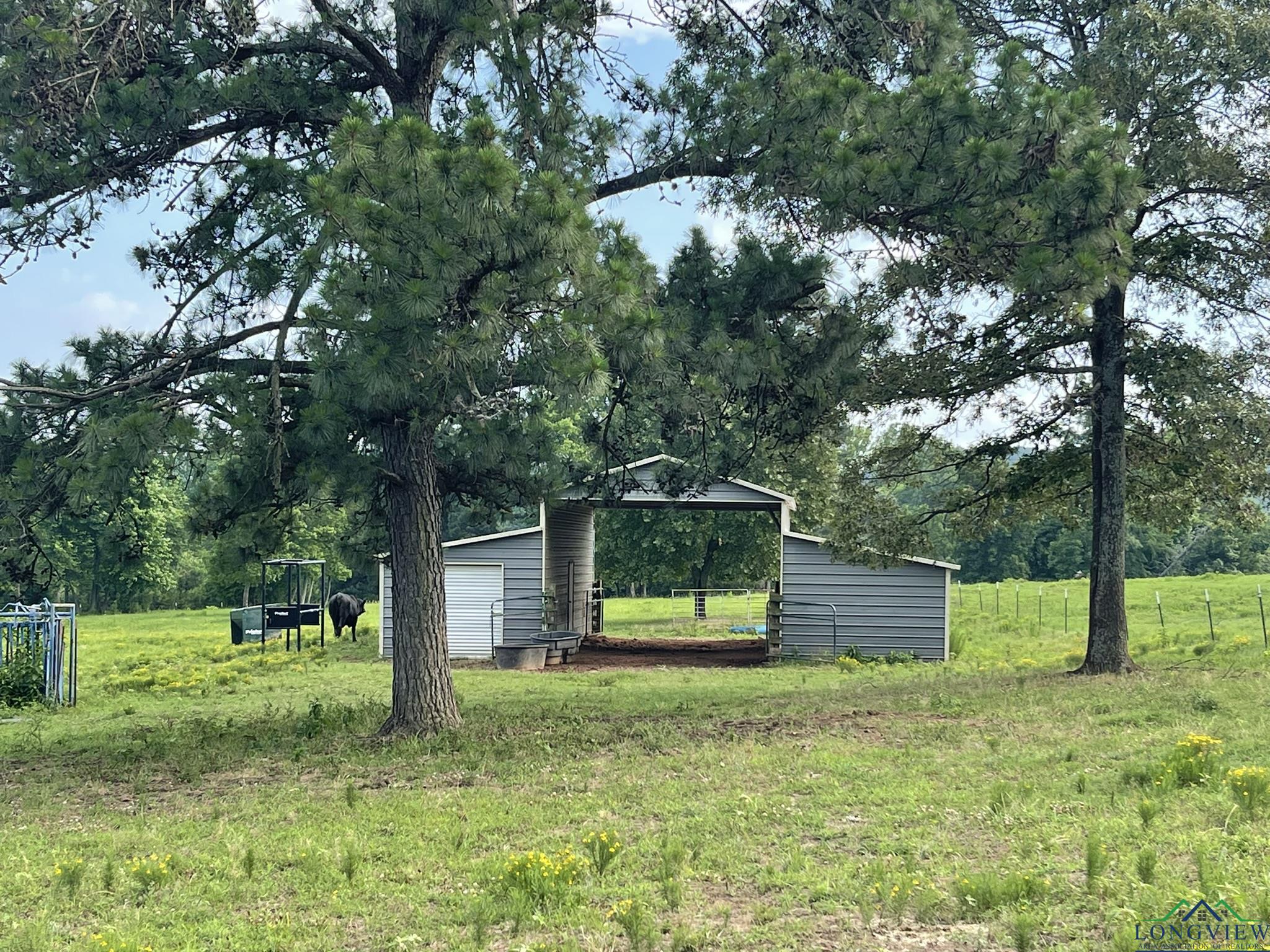 Gilmer, Texas, 75644, United States, 3 Bedrooms Bedrooms, ,2 BathroomsBathrooms,Residential,For Sale,1847700
