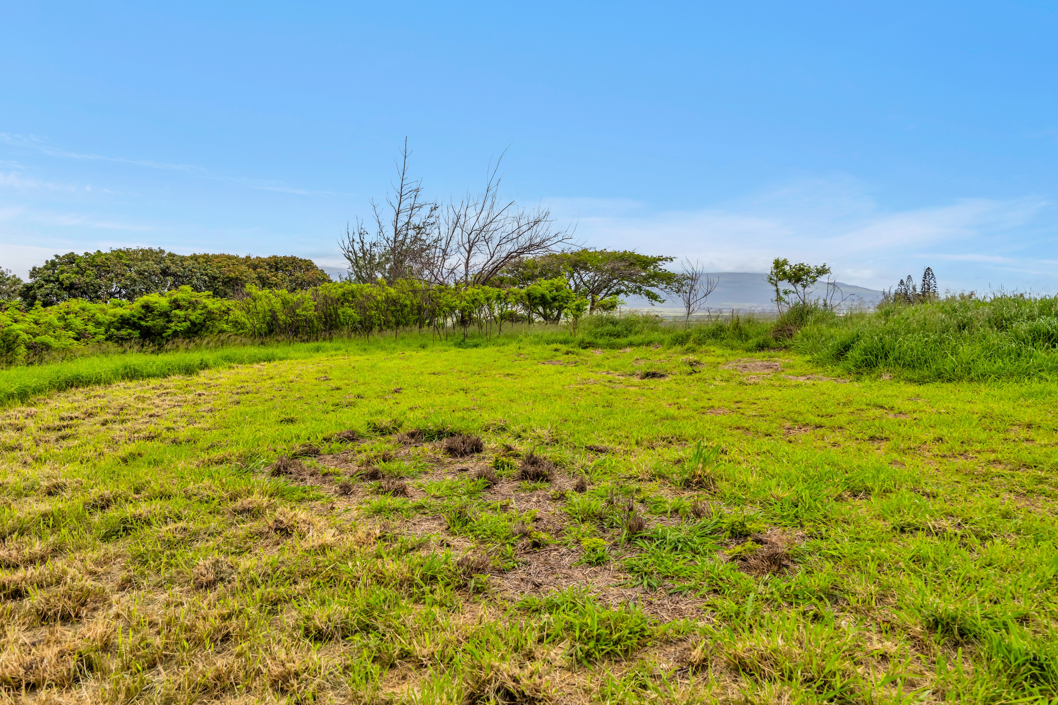  Timeless Plantation Home with Modern Upgrades - 物件實景