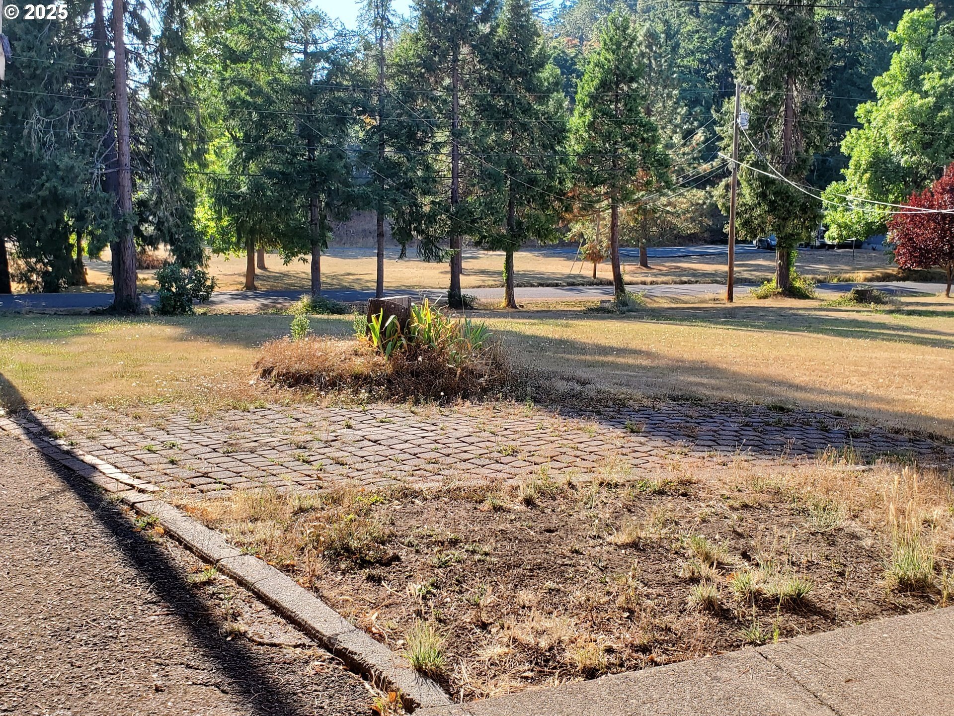 Pleasant Hill, Oregon, 97455, United States, 4 Bedrooms Bedrooms, ,3 BathroomsBathrooms,Residential,For Sale,1753097