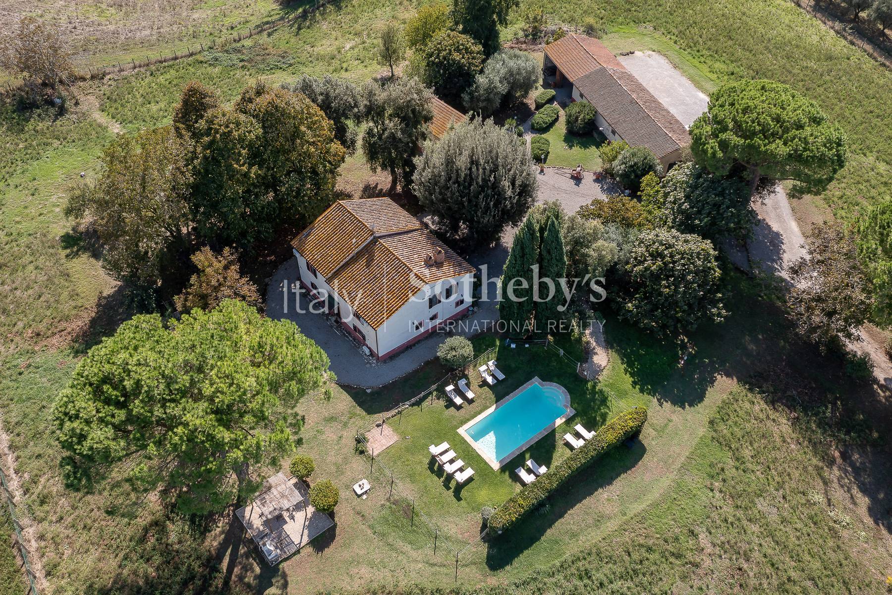  Charming Country Estate with Pool and Olive Grove in Maremma - 物件實景