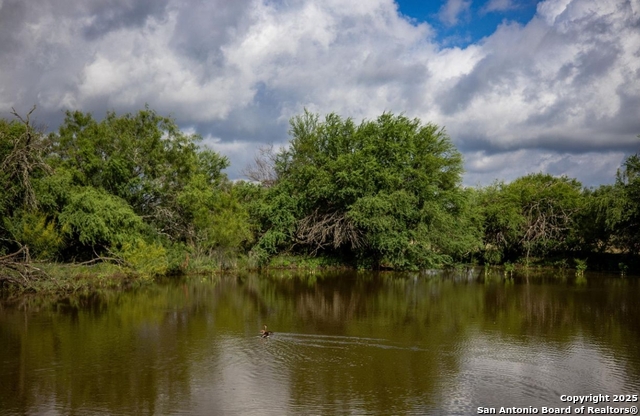 San Antonio, Texas, 78223, United States, ,Land,For Sale,1926379