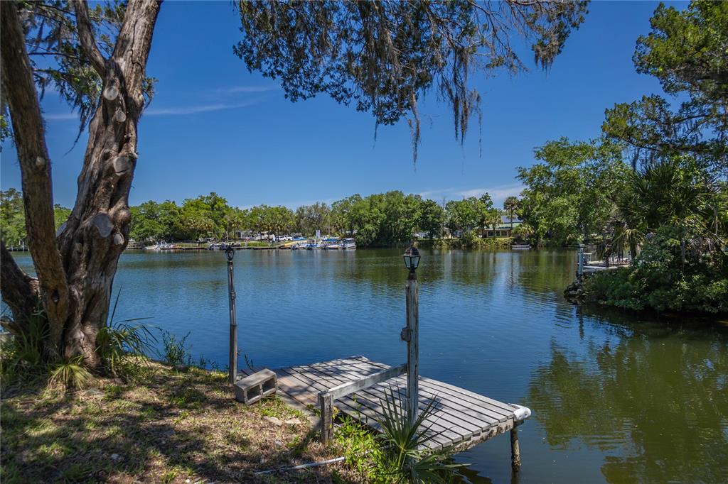 Crystal River, Florida, 34428, United States, 3 Bedrooms Bedrooms, ,2 BathroomsBathrooms,Residential,For Sale,1840194