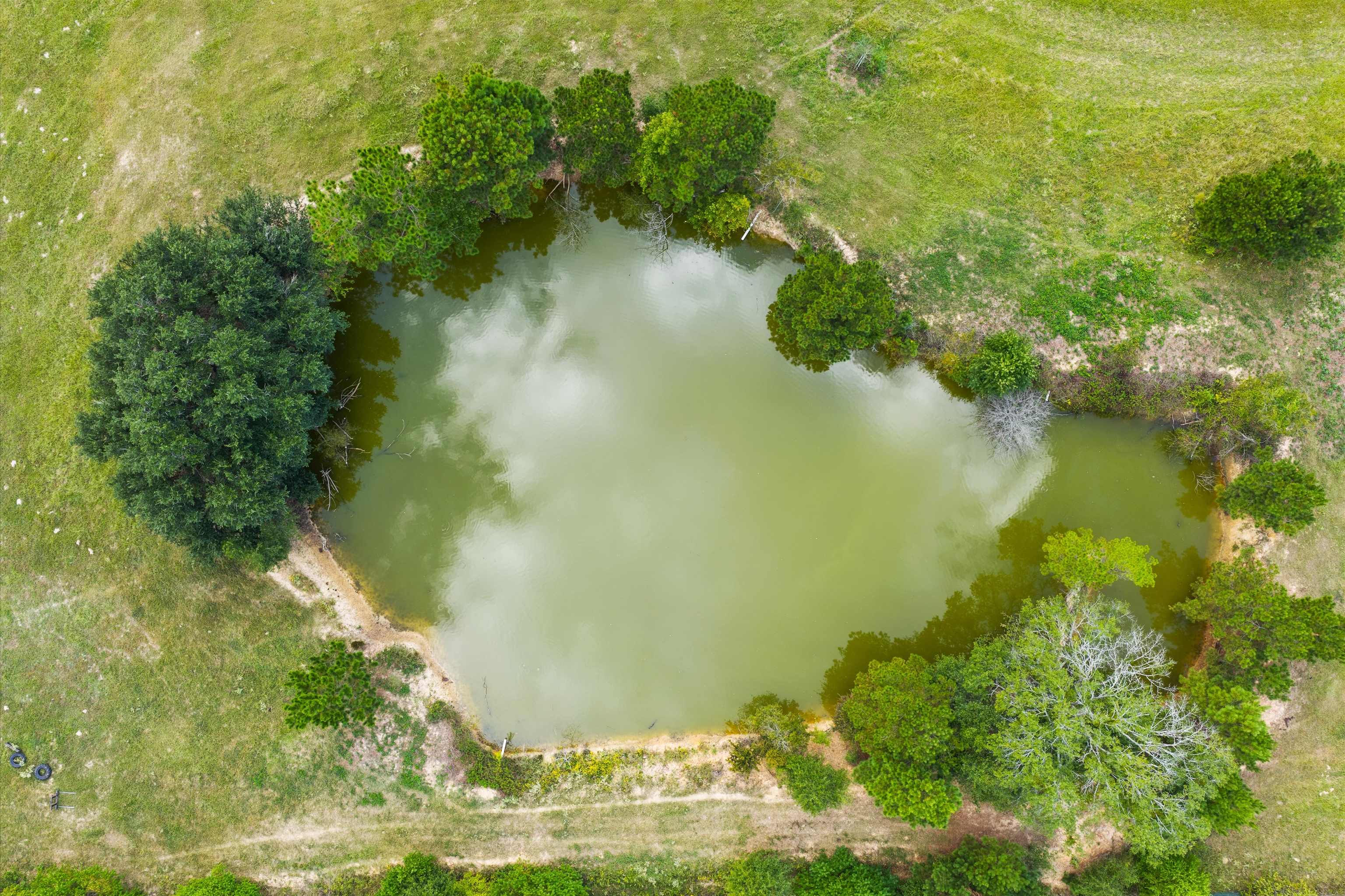 Henderson, Texas, 75654, United States, 3 Bedrooms Bedrooms, ,2 BathroomsBathrooms,Residential,For Sale,1983908