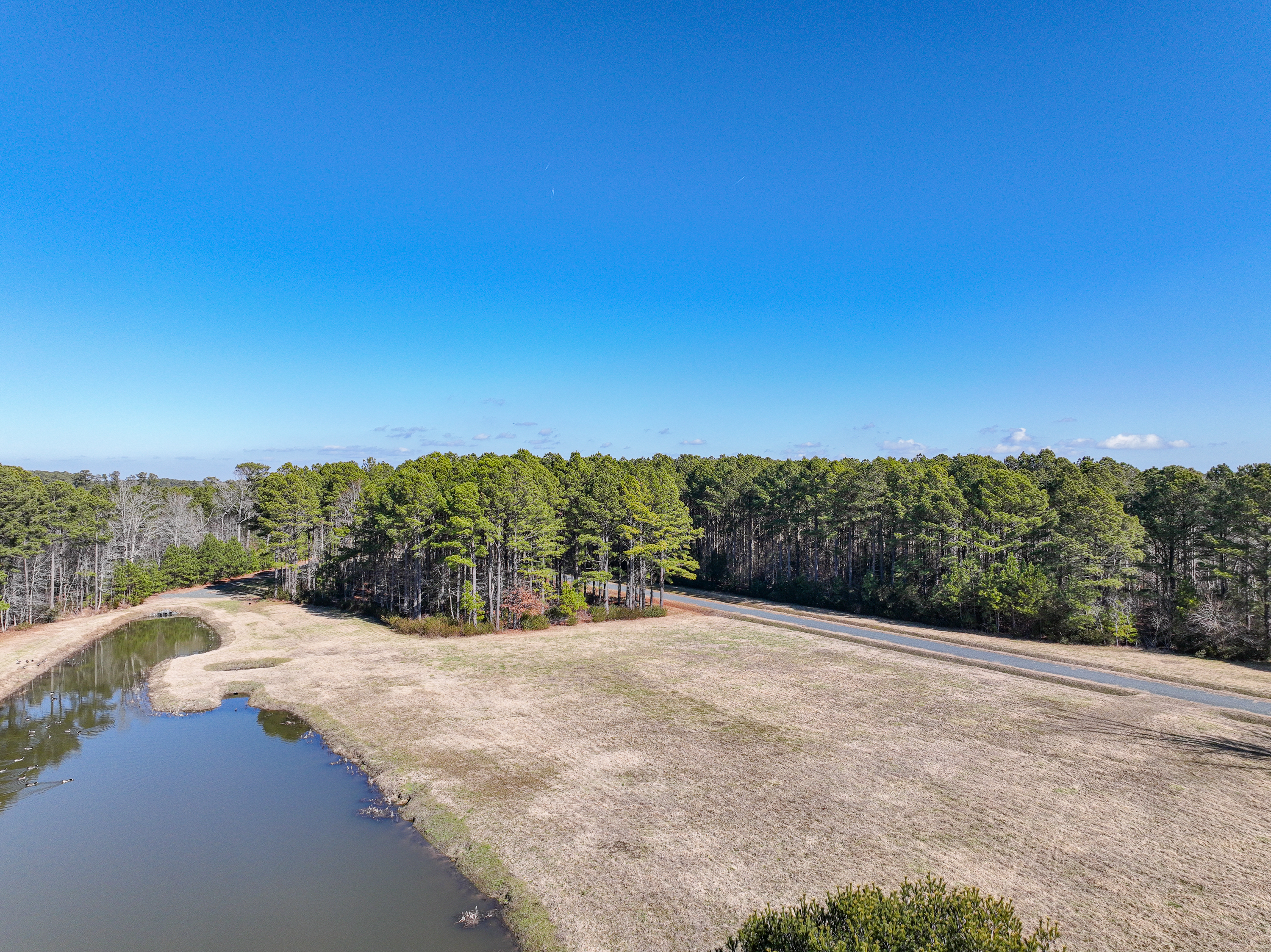 Onancock, Virginia, 23417, United States, ,Land,For Sale,1787848