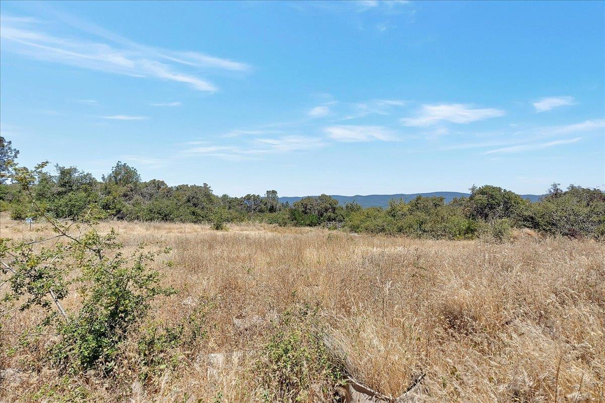 Oregon House, California, 95962, United States, ,Land,For Sale,1975767