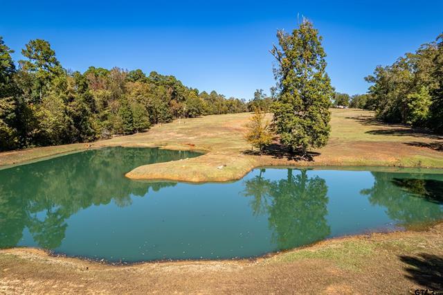 Winona, Texas, 75792, United States, 4 Bedrooms Bedrooms, ,2 BathroomsBathrooms,Residential,For Sale,1995143