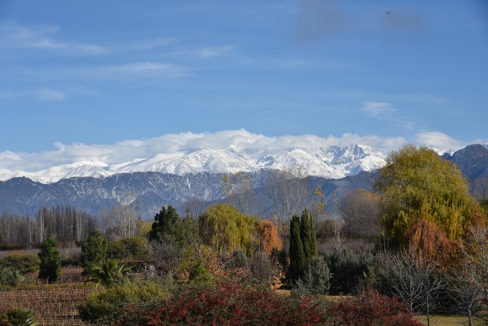 Lujan De Cuyo, AR-M, AR, 5 Bedrooms Bedrooms, ,8 BathroomsBathrooms,Residential,For Sale,1999071