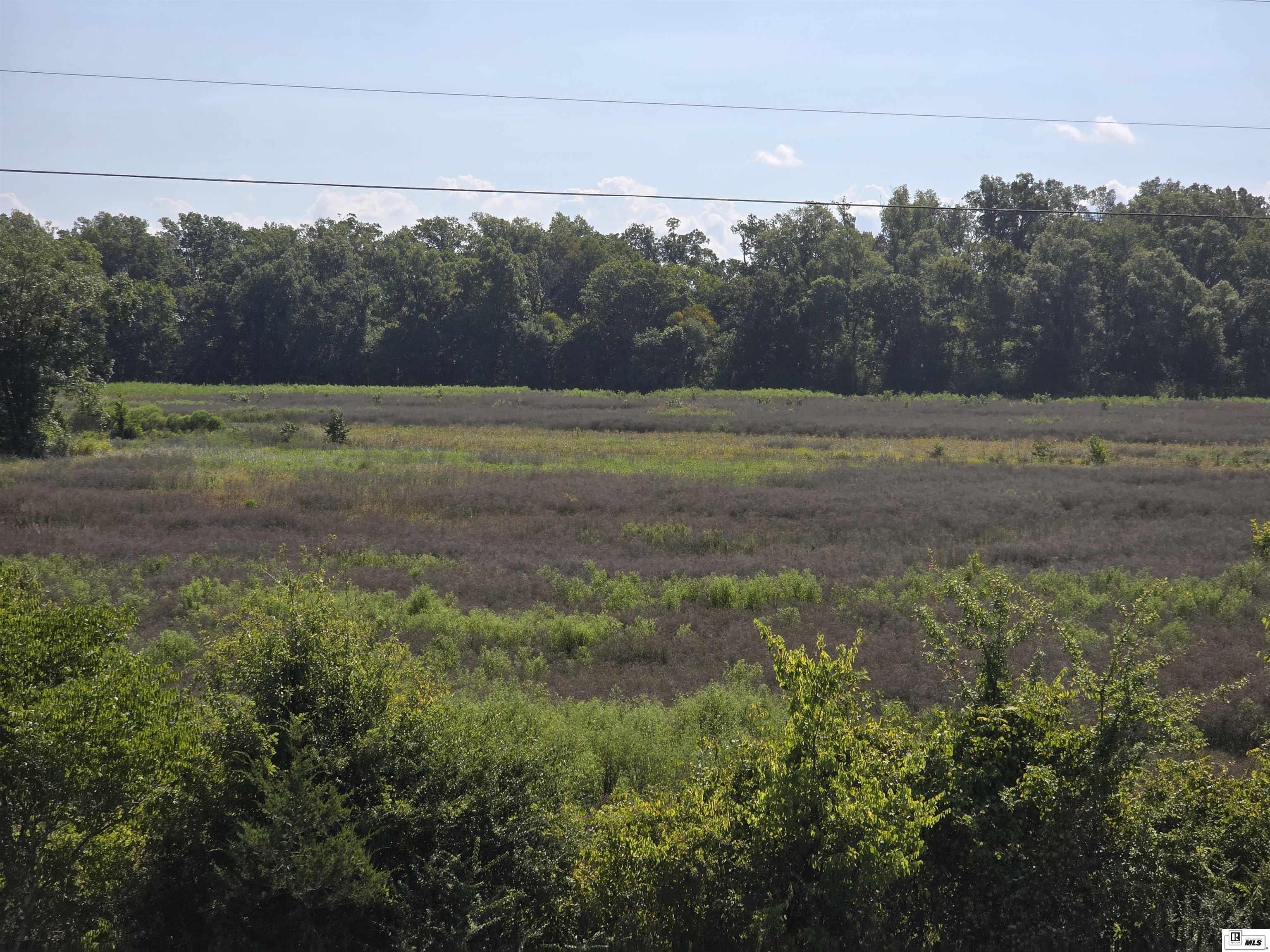 Rayville, Louisiana, 71269, United States, ,Residential,For Sale,1916667