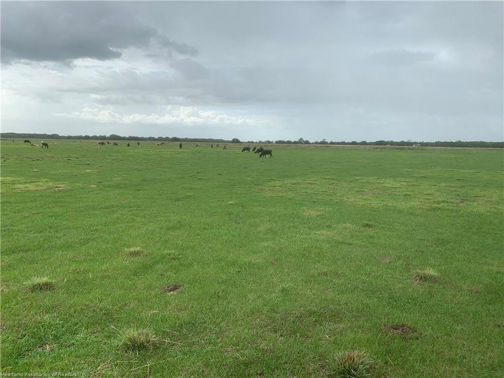 Venus, Florida, 33960, United States, ,Land,For Sale,1984372