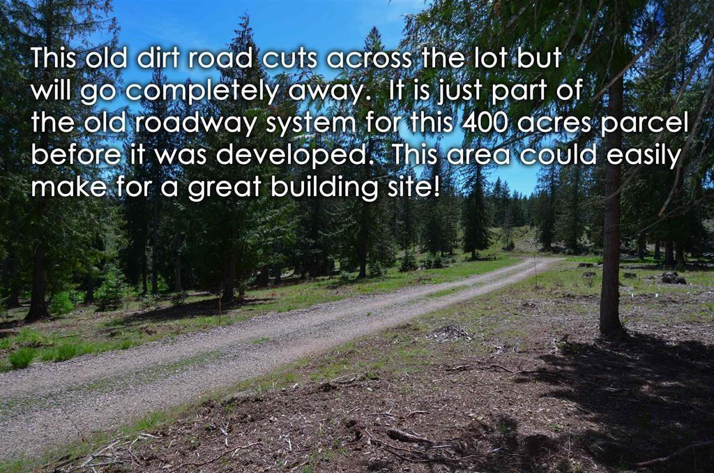 Sagle, Idaho, 83860, United States, ,Land,For Sale,1974286