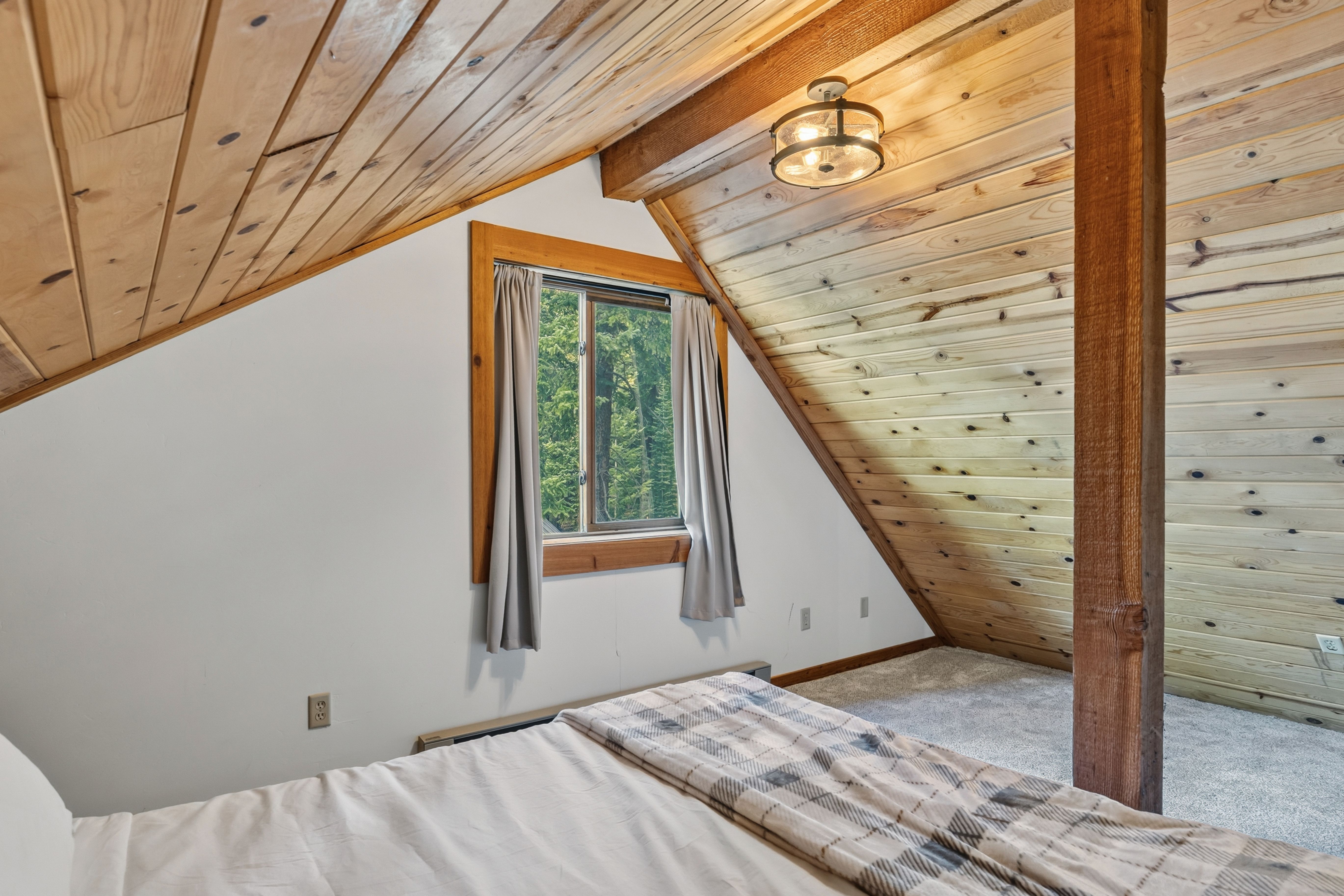  Cozy Cabin 1/2 Acre Backing to National Forest and Minutes from Main Street - 物件實景