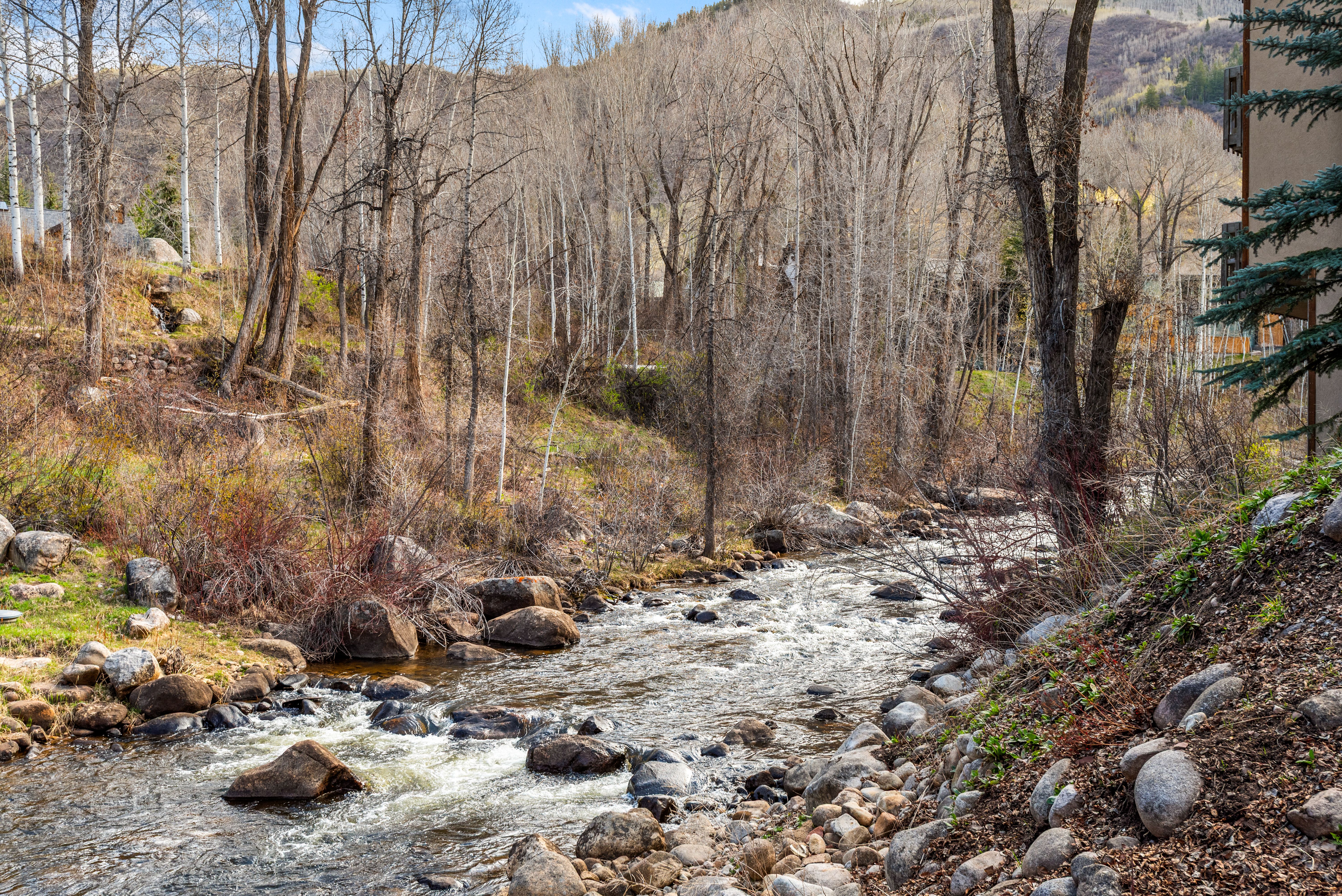  990 E Hopkins Avenue, Aspen, CO, 81611 - 物件實景
